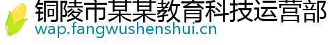 铜陵市某某教育科技运营部